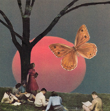 Original Collage Art Handmade Surreal Vintage Butterfly Mixed Media Artwork picture
