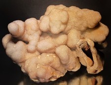 Huge 4lb 4oz Haunted Ridge  Botryoidal Drusy Quartz & Lace Agate 6.25
