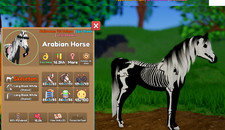 Wild Horse Islands Skelly Arabian picture