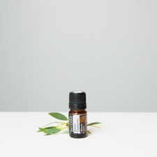 DoTerra Roman Chamomile essential oils 5 ml picture