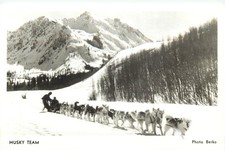 Dog Sled Team Toklat Lodge near Ashcroft CO RPPC ca 1960 Real Photo Postcard picture