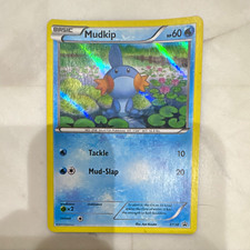 The Pokemon Company Mudkip XY38 XY Promo Holo HP 60 EN 2014 Pokemon TCG picture