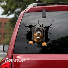 LARGE-SIZED CAR DECALS - ROTTWEILER - 2 CHOICES picture