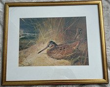 Vintage Archibald Thorburn Woodcock Print Tryon Gallery 1980 Board Mounted picture