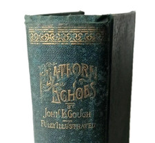 Platform Echoes by John B. Gough 1887 A.D. Worthington 225 Illustrations Vintage picture