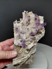 Veracruz Amethyst Crystal Cluster Plate Vera Cruz Crystals #E8295 picture
