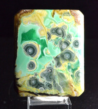 Variscite, Clay Canyon, Oquirrh Mountains, Utah, 99.35 CT picture