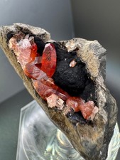 6946 HIGH QUALITY Deep Dark Rhodochrosite Crystals on Matrix Peru 60g picture