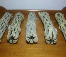 5 LARGE 6