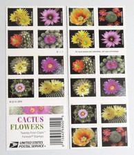 2019 USPS Cactus Flowers Stamps MNH Scott 5350-5359 5 sheets of 100 Count picture