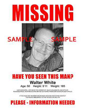 2008 Breaking Bad Walter White Missing Flyer 8.5 x 11 Poster Bryan Cranston picture