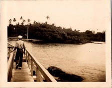 Vtg 1930s-40s Photo Man Walking on Bridge Tropical Landscape Palm Trees Sepia picture