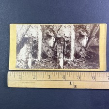 Ossipee Falls Stereoview N.W. Pease North Conway White Mountains 1870s picture