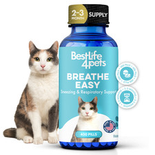 Cat Respiratory Infection & Nasal Relief picture