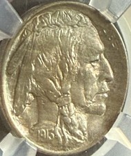 1913 Type 1 5C - Buffalo Nickel - MS 65 CX51 picture