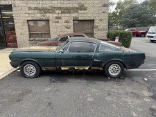1966 Ford Mustang  picture