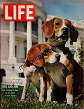 1964 Life June 19 - LBJ's Beagles; Cassius Clay; Jill Kinmont; Shirley MacLaine picture