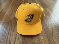 Vintage Johnstown Chiefs New Era Snapback Hat Cap Made in USA 90's ECHL Hockey picture