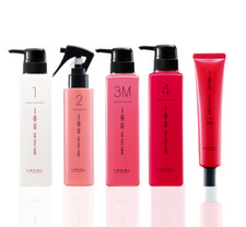 LebeL IAU Damage Elasticity Treatment pack Hair Cell Care 5SET 1,2,3M,4,5M JAPAN picture