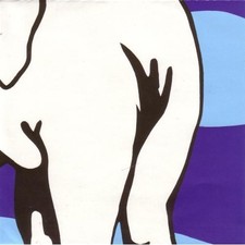 Jeff Mangum - Live at Jittery Joe's [New CD] picture