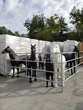 Life-Size Plastic Model Horse picture