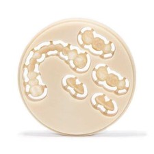 Portux CAD/CAM Multi-Layer PMMA Disc, 98.5 x 18, Shade B1, 1/Pk. picture