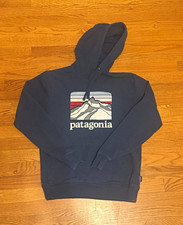Patagonia Men’s Blue Fleece Graphic Logo Pullover Hoodie Drawstring Pockets S picture