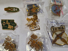 Lot 8 Rare Vintage Iowa Lions Pins 1971 1977 1982 1983 1984 Draft Horse picture