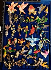 40 Pc Bird Brooch Lot Hummingbird Parrot Toucan Swallow Enamel Rhinestone Pins picture