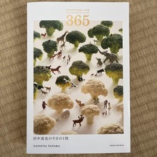 MINIATURE LIFE 365 Miniature Art Photo Book Daily Inspiring picture