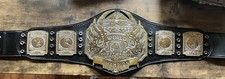 TNA World Heavyweight Championship classic.  picture