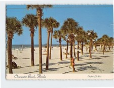 Clearwater Beach Clearwater Florida USA F-311665 picture