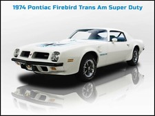 1974 Pontiac Firebird Trans Am NEW Metal Sign: Large Size 12 x 16