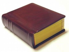 Professional 4x6 burgundy Wedding Album - 24 photos    (Engraving Available) picture