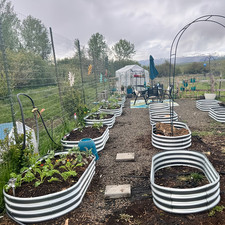 NIEDEO 1/2/4 Pack Galvanized Raised Garden Bed Kit Oval Metal Planter Boxes picture
