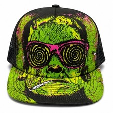 Rare Iron fist Frank The Tank Hat picture