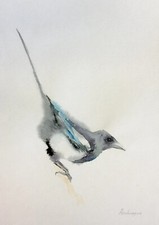 Magpie, Birds, Watercolor artwork, Handmade, Original painting on paper picture