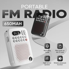 Portable Bluetooth FM Radio with MP3 Player & Recording – Big Sound picture