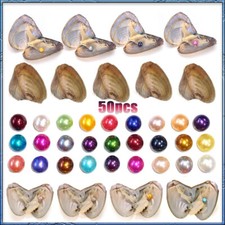 50x Fresh Oysters with Pearls Freshwater Pearl Individually Wrapped jewelry Gift picture