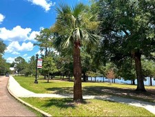 Sabal 