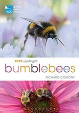 RSPB Spotlight Bumblebees By Richard Comont picture