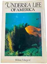 UNDERSEA LIFE  of AMERICA by William Sargent Hardcover Colored Images 15 x 11  picture