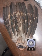 Native American Roach Eagle Feathers Imitation Golden Powwow Regalia Authentic picture