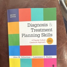 Diagnosis and Treatment Planning Skills: A Popular Culture Casebook Approach 2ed picture