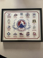 Vintage American Hockey League AHL Collector Logo Pin Set Lot Of 14 - Rare picture