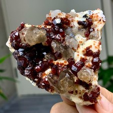 164G Natural Garnet with smokey quartz cluster Crystal Mineral Specimen picture