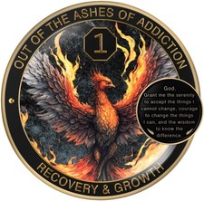 Phoenix Sobriety Coin 1 Year AA Chip Medallion Gift Set Sobriety Gifts for Anniv picture