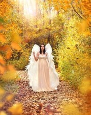 Angel Wings Large Costume Cosplay Adult Fairy Dress Fashion Halloween Christmas picture
