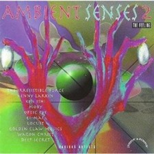 Various : Ambient Senses 2 - The Feeling CD Incredible Value and  picture