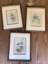 Vintage John Gould Offset Lithograph Professionally Framed Bird Prints Set of 3 picture